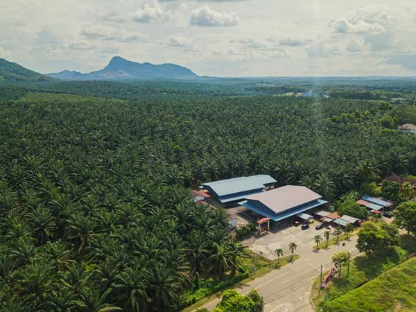 Coco Foods Story